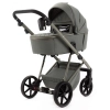 Adamex Delta Natura DN-7 Salvia wózek 2w1 lub 3w1